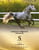 Annonce cheval