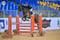 Annuncio cavallo