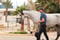 Annuncio cavallo