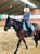Horse ad