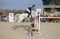 Annuncio cavallo