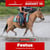 Annonce cheval