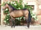 Annonce cheval