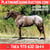 Horse ad