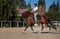 Annuncio cavallo