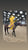 Horse ad