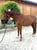 Annuncio cavallo
