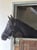 Horse ad