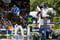 Annuncio cavallo