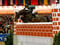 Horse ad