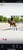 Horse ad