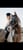 Horse ad