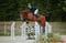 Annuncio cavallo