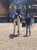 Annonce cheval