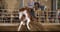 Annuncio cavallo