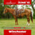 Annuncio cavallo