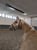 Horse ad