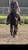Horse ad