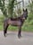 Horse ad