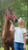 Annuncio cavallo