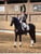 Horse ad