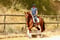 Horse ad