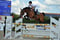 Horse ad