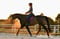 Annonce cheval
