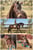 Annuncio cavallo