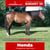 Paardadvertentie