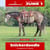 Paardadvertentie