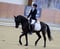 Annuncio cavallo