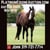 Horse ad