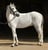 Horse ad