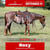 Annonce cheval
