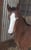 Annuncio cavallo