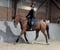 Horse ad