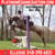 Horse ad
