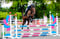 Horse ad