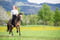 Horse ad