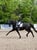 Horse ad