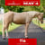 Horse ad