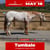 Anuncio de caballos