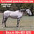 Horse ad