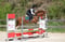 Horse ad