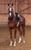 Annuncio cavallo