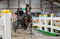 Horse ad