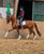 Annonce cheval
