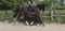 Annonce cheval