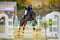 Horse ad